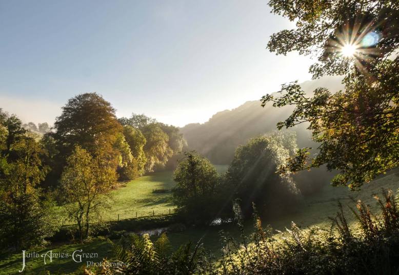 Photo by Julia Amies-Green.