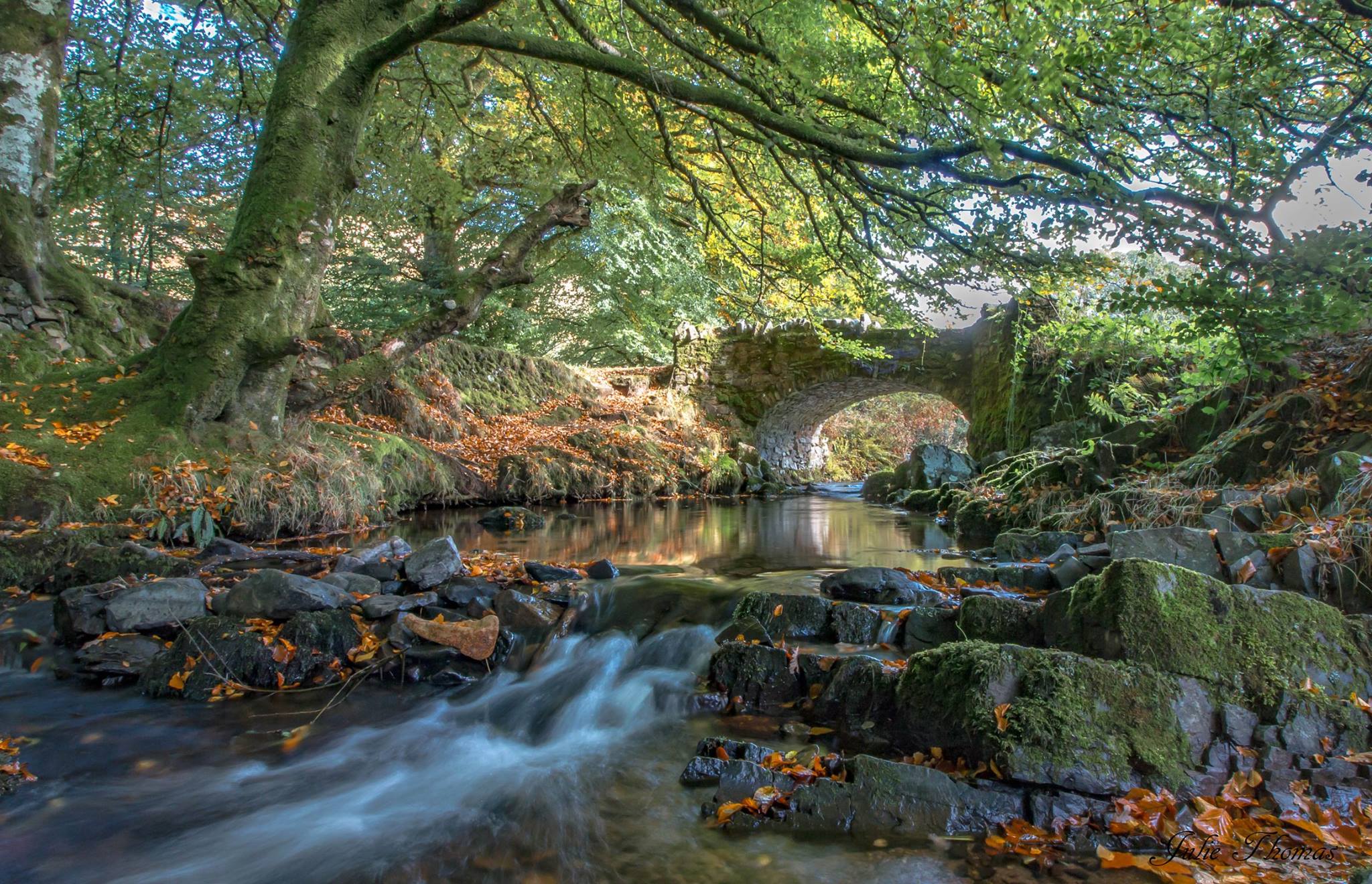 Photo by Julie Thomas