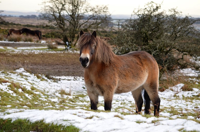 Photo by Annette Baker