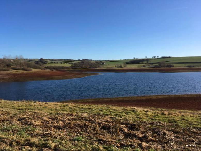 119-jane-carey-wimbleball-lake